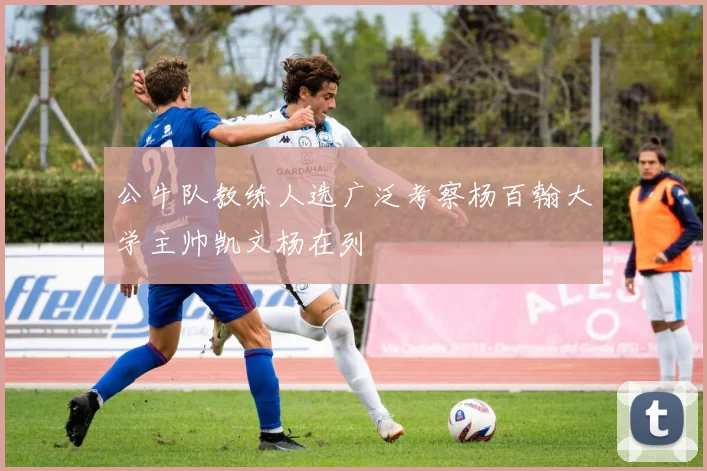 公牛队教练人选广泛考察杨百翰大学主帅凯文杨在列